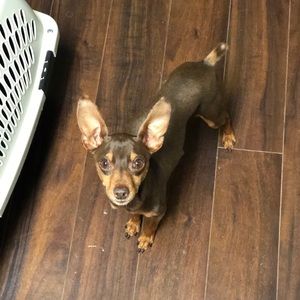 Meet your Posher, Shauna